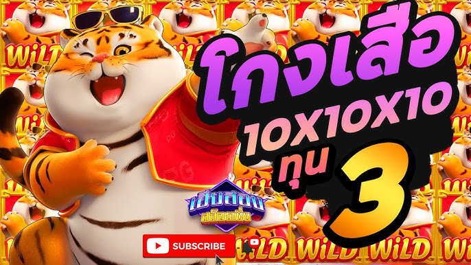 ทำไม 101Tiger จึงเป็นตัวเลือกที่คุณไม่ควรมองข้าม